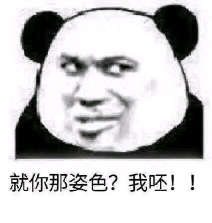 日常沙雕表情包搞笑熊猫