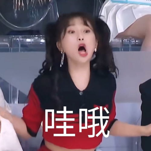 动态搞笑表情包,笑死人的搞笑表情包