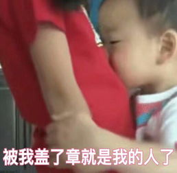 平底锅警告搞笑表情包近期热门表情包合辑