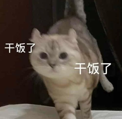 12元水饺吃到饱,男子连吃100多个惹怒老板只吃馅不吃皮,你好意思吗