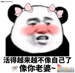不想撞南墙了想撞先生的胸膛图片调戏男朋友表情包下载乐游网游戏下载