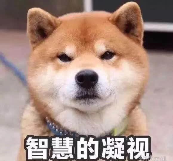 幽默搞笑段子集教室表情图,你中枪了没哈哈哈哈哈哈哈哈哈