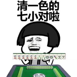 请问麻将中的小七对是什么啊