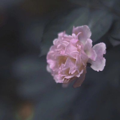 收集你最近最喜欢的一句文案