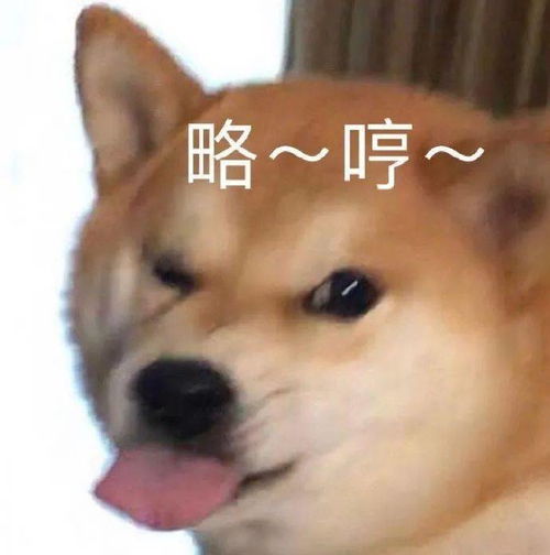 沙雕表情包i打工人的沉思