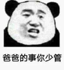 沙雕熊猫头表情包