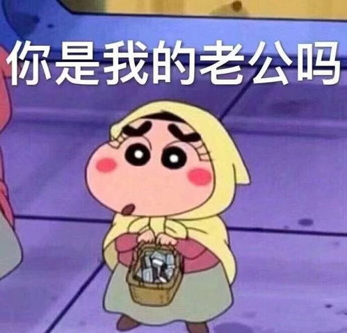 可爱搞笑的沙雕最新热门表情包图片