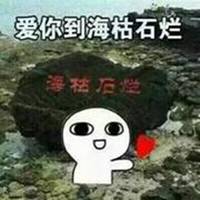 我依然爱你歌词表情包微信头像图片大全