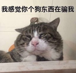 最近撩人表情包火了,直男看见都心软,网友是我的菜