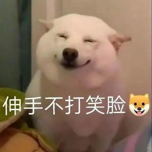 点赞搞笑表情包朋友圈