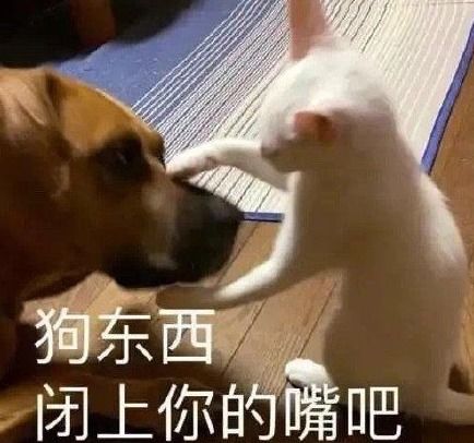 全网为错失视后的她喊冤,是时代滤镜,还是真的惋惜