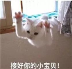 重大事件盐师中文出新栏目啦