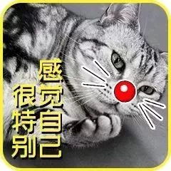 没成为中国锦鲤没关系,这波表情包来安慰你