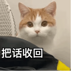 好笑吗一天到晚哈哈哈哈哈丨第207期猫咪表情包