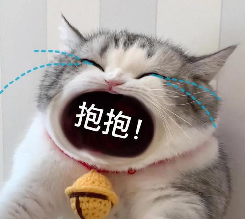 喵星人可爱搞怪表情包系列