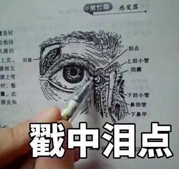 如果你还没有安排这个即将到来的七夕,那这份金秋甜蜜攻略请你收好