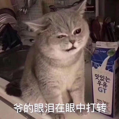 网恋被骗是一种什么体验