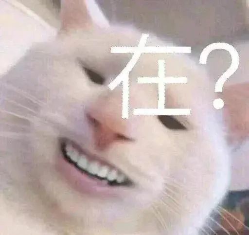 表情图片微信搞笑沙雕