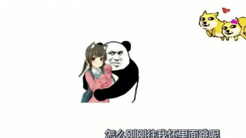 搞笑表情包一晃就老了唱的太现实了