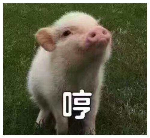 搞笑段子昨晚睡得很晚,就和网上一直追求的女孩聊天