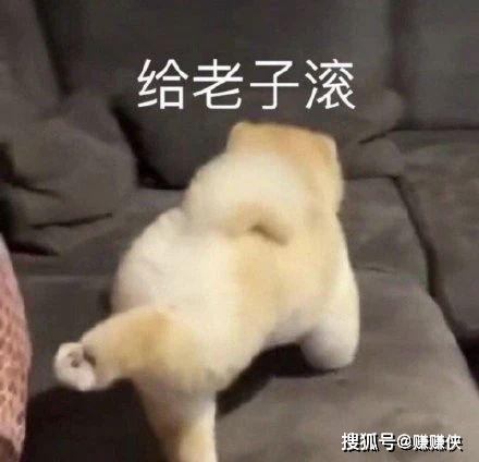 搞笑表情包图片好朋友,出来耍