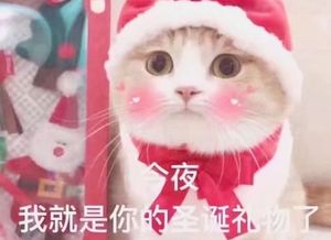 今夜我就是你的圣诞礼物图片大全