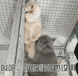 近期沙雕搞笑表情包