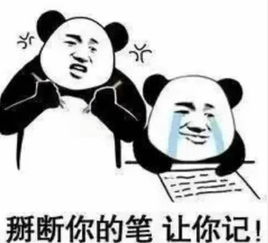 皮到抽搐的熊猫头表情老子困了,快跟老子说小宝贝晚安