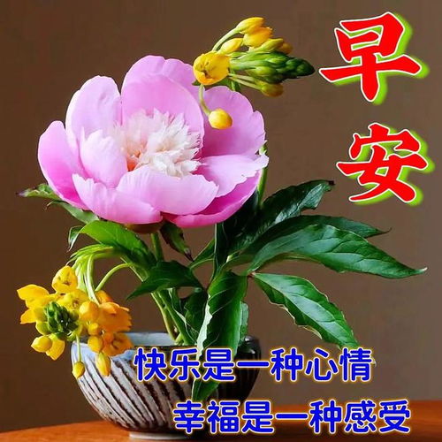 2023新版早上好祝福句子精选朋友圈特别漂亮早上好表情图片