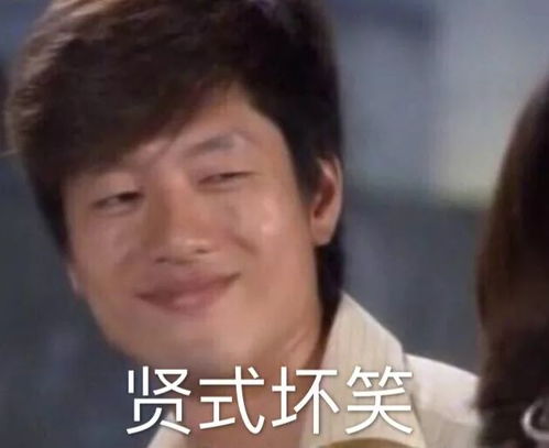 明明白白洪世贤表情包