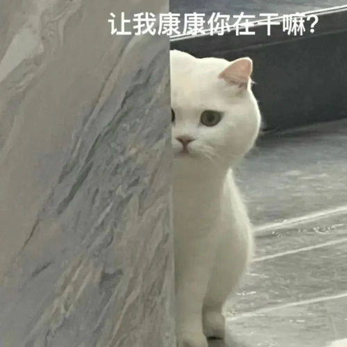 热门表情包大合集丨突然出现
