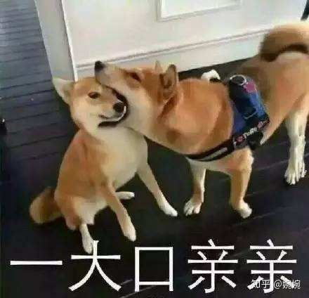 超级奈斯的表情包来了,请注意查收