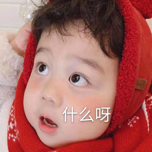 超可爱搞笑表情包