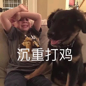 沙雕聊天表情包今天除了皮又啥也没干