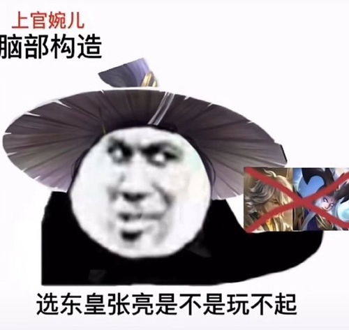 王者荣耀搞笑表情包
