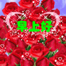 早上好,一束阳光照在身,祝你天天都开心,事事都如意