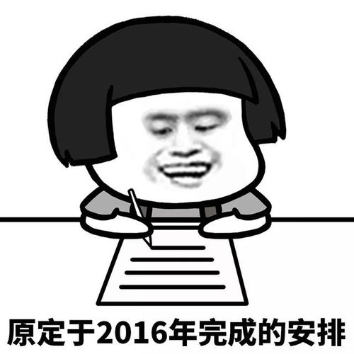 表情丨我的2018新年计划是这样的