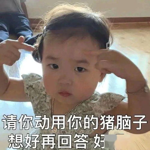 今日份斗图表情包请你动用你的猪脑子,好吗