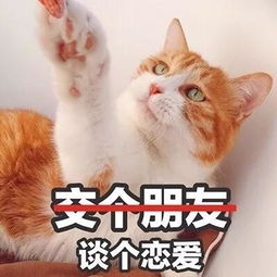 最新男生头像伤感孤独微信头像跌到了最暗处心忽然明了