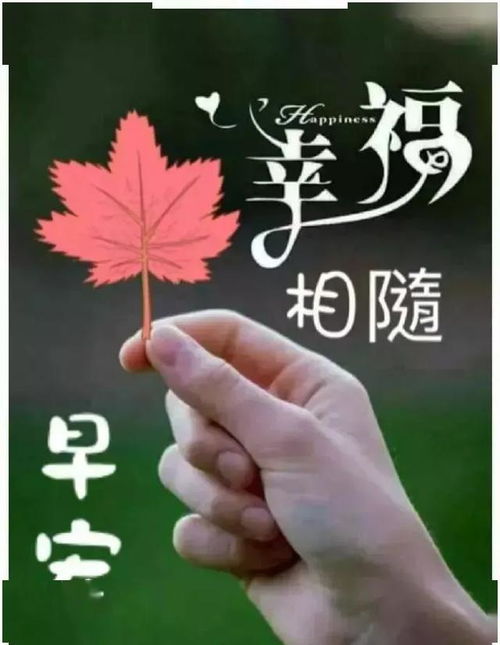最新微信早上好问候语带图片微信寒冷早晨问候语表情