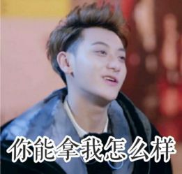 组图黄子韬承包新年笑点超实用的谢晓飞表情包请收好