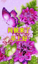 微信早上好动态表情早上鲜花问候表情图片