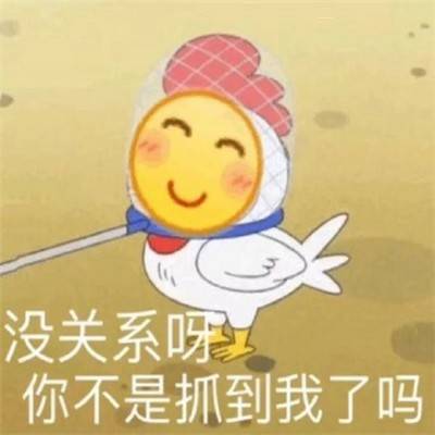比较搞笑的表情包认输