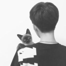 可以求个带猫的情侣头像么真人的不要动漫