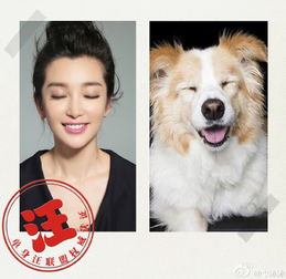 李冰冰模仿狗狗表情翻白眼吐舌头神还原图