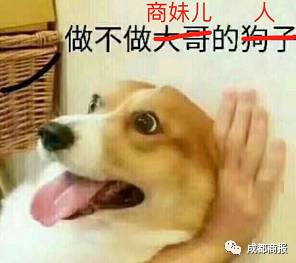 东半球最强饭局刷屏,商妹儿也组了一个局