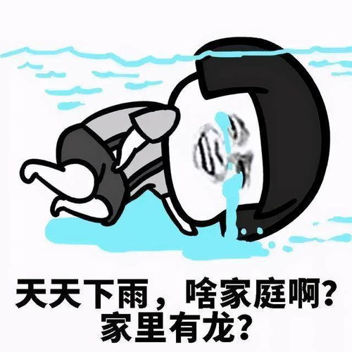 周末又渡劫上海昨夜任性集齐大风暴雨雷电冰雹