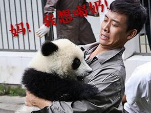 张译有孩子吗张译为什么娶二婚老婆背后内情让人万没想到
