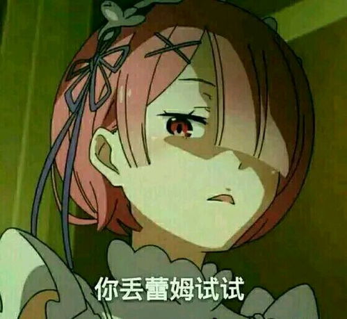 re从零开始的异世界生活2016年4月新番拉堆糖,美好生活研究所