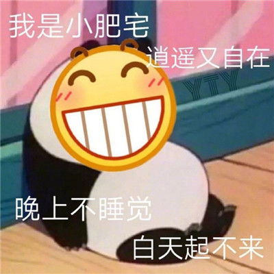 能够让你快乐聊天表情包很有趣的快乐表情包合集